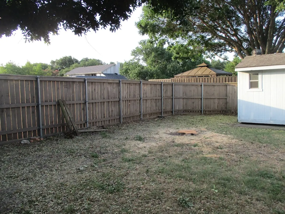 Cleared yard after professional tree removal in Blue Hill